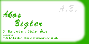 akos bigler business card